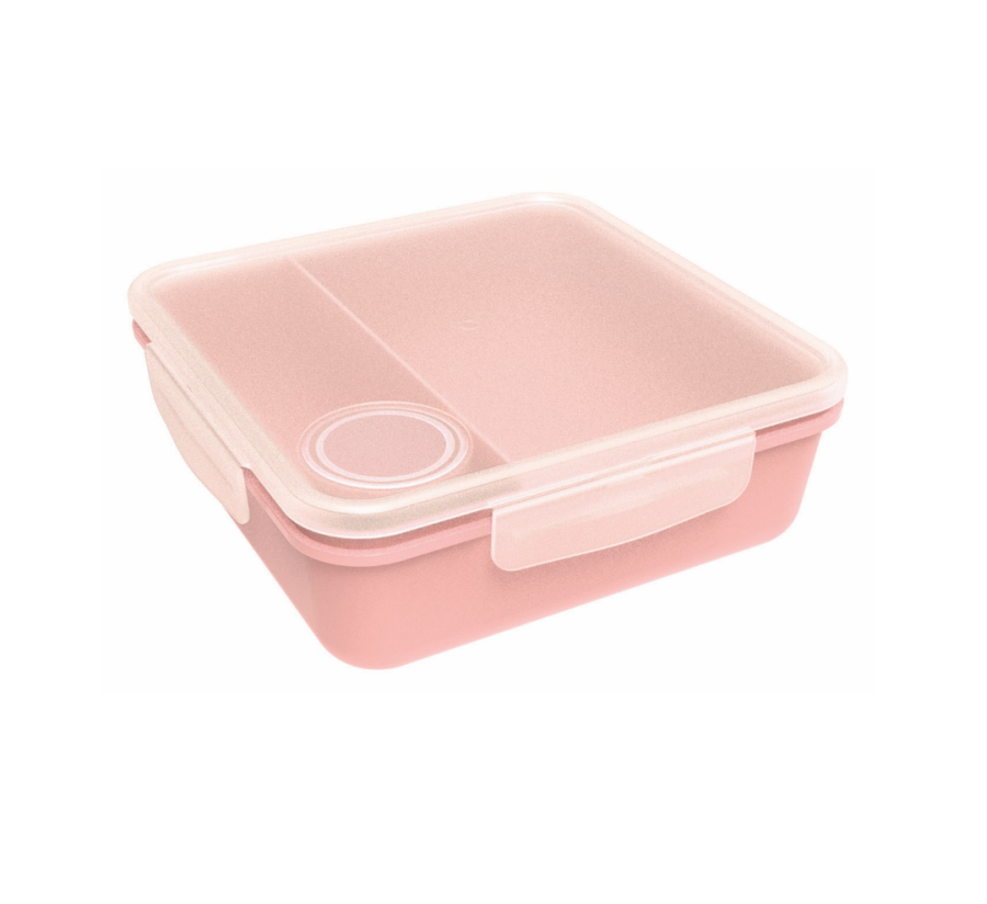 Salad Box with Dip Container